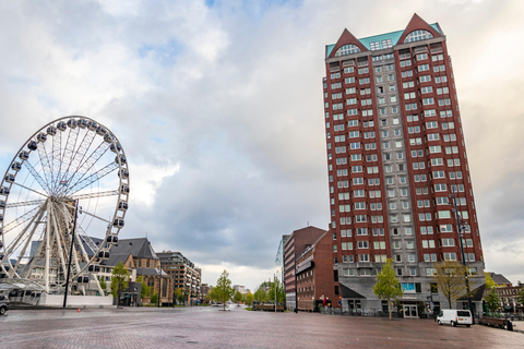 Rotterdam: Tour privado de arquitectura con un experto local