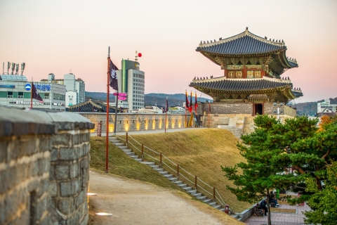 Desde Seúl: Excursión de un día a la Fortaleza y Pueblo Popular de Suwon HwaseongExcursión privada de un día con recogida y regreso al hotel