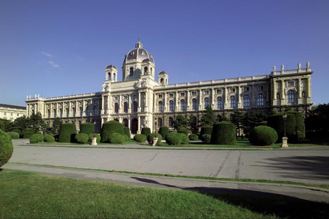 Wien dagsutflykt från Prag