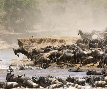 Safari di gruppo di 9 giorni attraverso il Kenya e la Tanzania