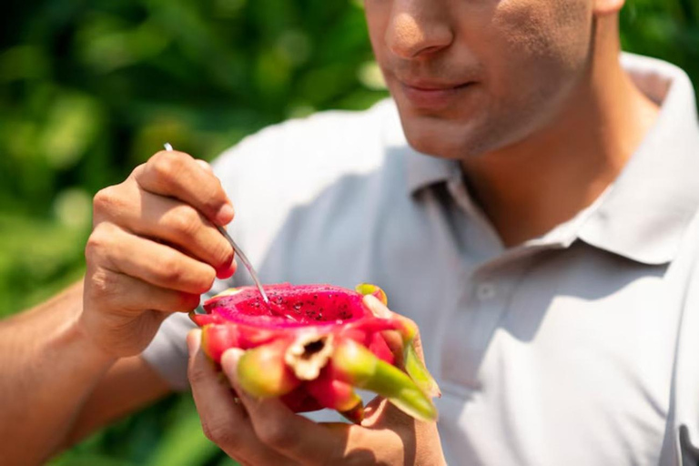 Tropikalne owoce Brazylii w São PauloDegustacja owoców dla grup
