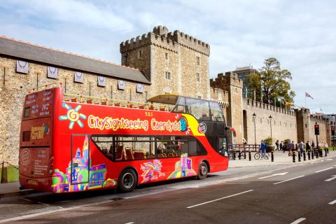 Cardiff: excursão de ônibus hop-on hop-off de 24 horas