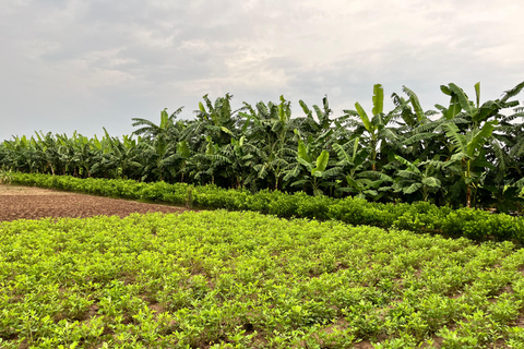 Hanoi: City Highlights Guided Tour by Vintage Jeep Private Jeep Tour >= 4pax