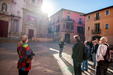 Ab Barcelona: Pyrenäen-Tour in kleiner GruppeStandard-Option