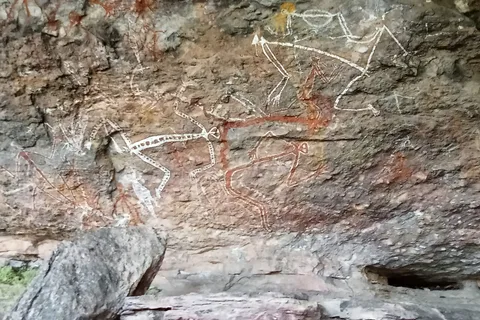 Tour di un giorno del Kakadu: Privato, Acqua Gialla, Nourlangie, Ubirr
