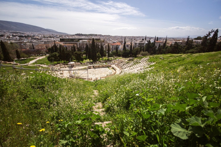 Athènes : visite points forts et Acropole, sans billetsVisite en petit groupe pour les citoyens non européens