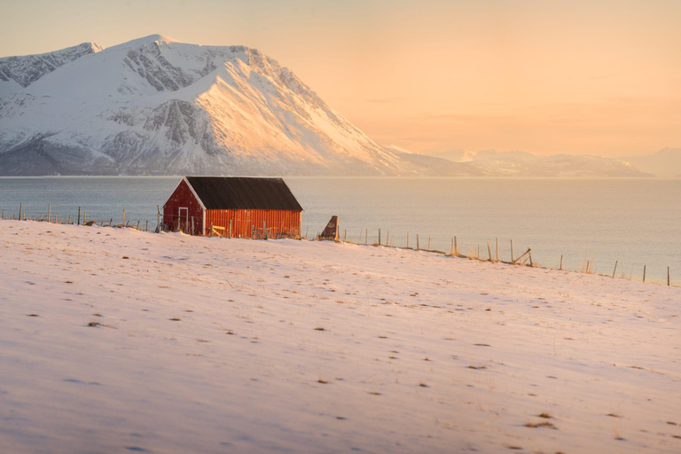 Tromsø: Kvaløya Island and Fjords Tour