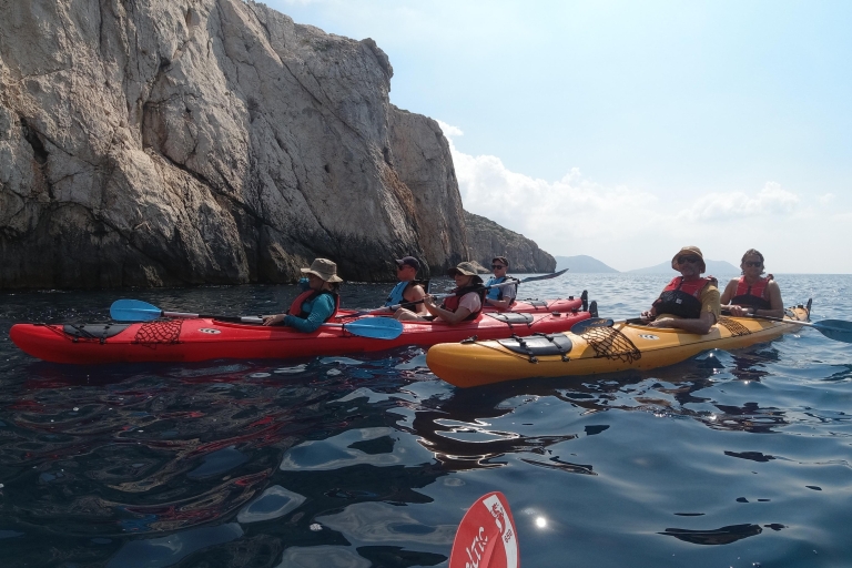 Prywatna wycieczka kajakiem po AtenachPrywatna wycieczka kajakiem po morzu w Atenach z odbiorem z hotelu i lunchem