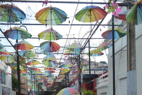 Puerto Plata: passeio cultural com degustação de rum e charutosPuerto Plata: tour cultural com degustação de rum e charutos