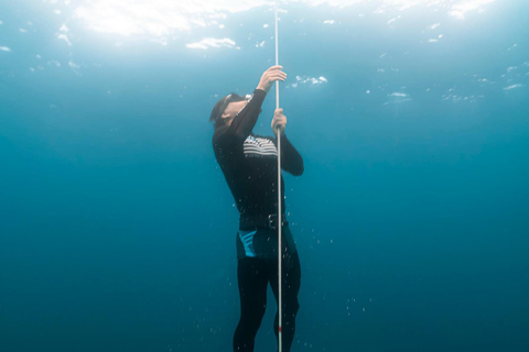 Boracay Discovery Free Diving Experience