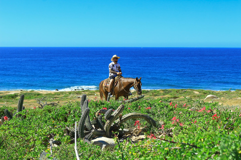 Cabo San Lucas: Reiten in Migriño mit Transfers