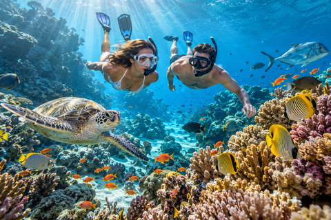 Labuan Bajo: 4-Day Sumbawa Whale Shark & Moyo with Flights Sharing Whale Shark & Moyo Island Private Tour