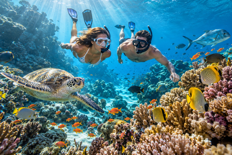 Labuan Bajo: 4-Day Sumbawa Whale Shark & Moyo with Flights Sharing Whale Shark & Moyo Island Private Tour