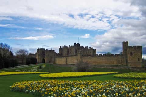 Viking Coast and Alnwick Castle Small Group Day Tour