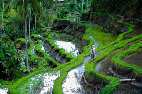 Bali: visite du site de Mengwi Taman Ayun et de la forêt des singes de SangehBali: visite du site de Mengw Taman Ayun et de la forêt des singes de Sangeh