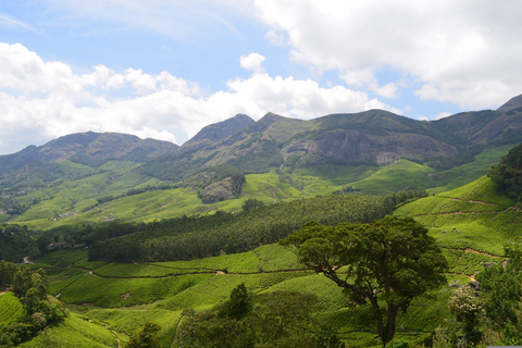 Från Cochin: Munnar och Alleppey 4-dagars tur med husbåt