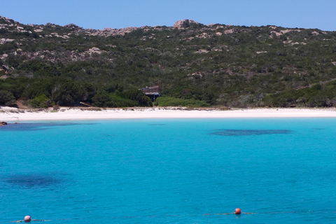 From Palau: La Maddalena Archipelago 4 Stops Boat Tour From Palau: La Maddalena Archipelago Full-Day Boat Tour