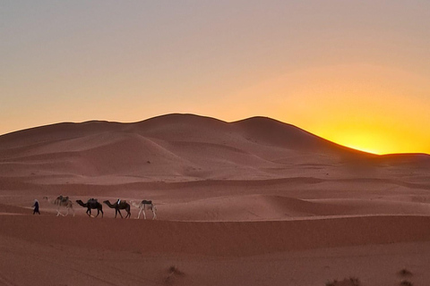 3 Days From Marrakech To Merzouga Desert (pl) 62511