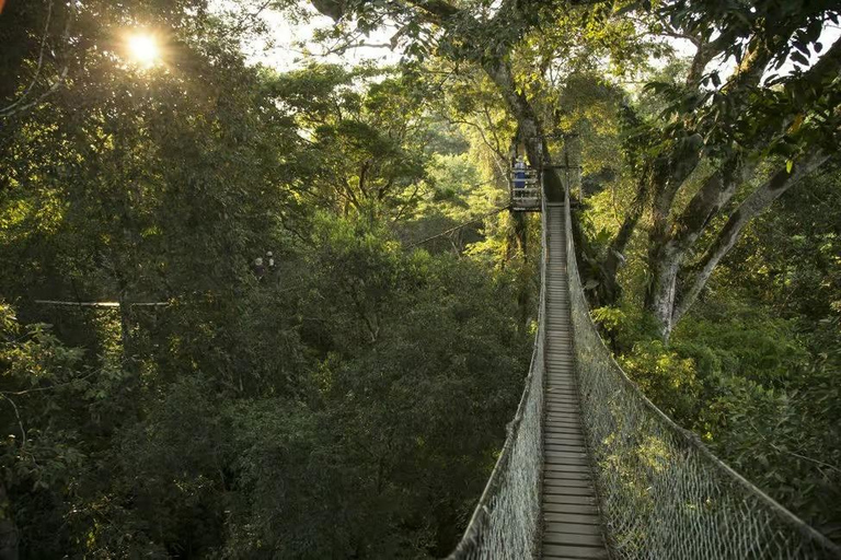 Puerto Maldonado: Collpa Chuncho 2-Day Jungle Tour