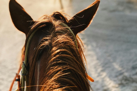 Aruba: Sunrise Coast & Desert Horseback Ride with Pickup