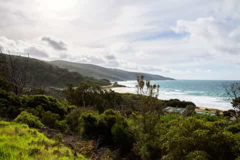 From Melbourne: Great Ocean Road Full-Day Trip