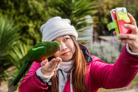 From Melbourne: Great Ocean Road Full-Day Trip