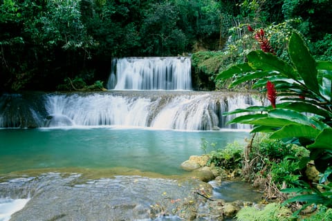 Jamaica: Black River Safari, YS Falls & Appleton Rum Estate
