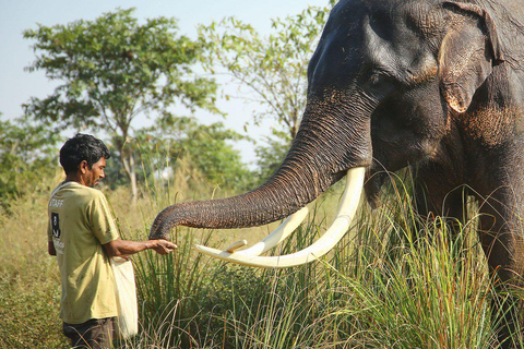 Desde Delhi: Amanecer en el Taj Mahal con conservación de elefantesDesde Agra Excursión de un día a SOS Conservación de Elefantes y Rescate de Osos