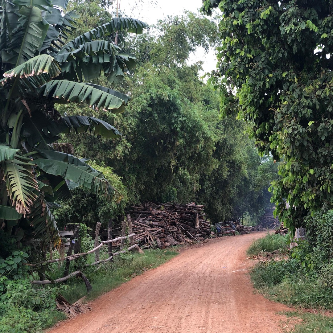 Colagem de mídia