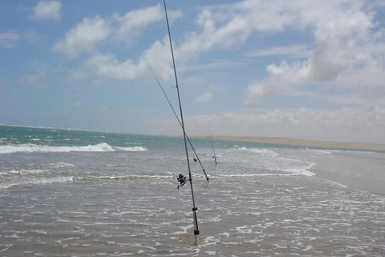 A day&#039;s fishing on the Atlantic coast (transport + lunch included)