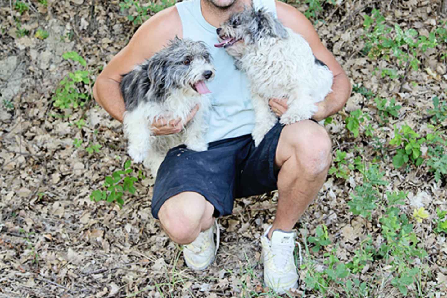 Охота за трюфелями в Провансе