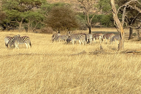 Namibia im November: 8-tägige geführte Tour mit Flügen und Mahlzeiten