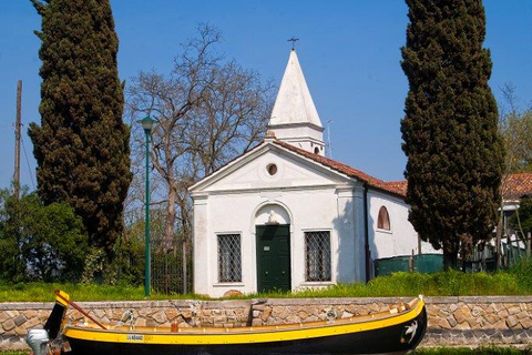 Private 4 hours North Lagoon: Traditional Venetian Boat Tour Venice: 4 hours North Lagoon Boat Tour