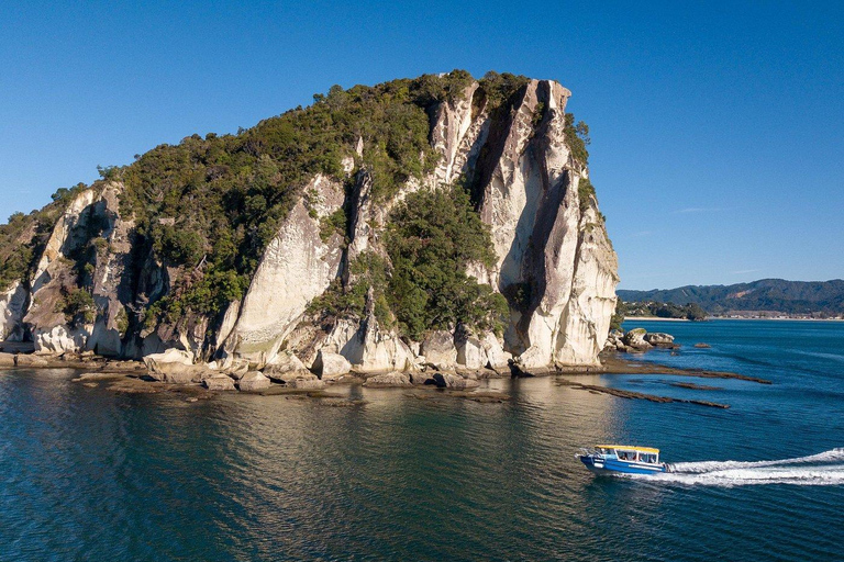 Whitianga: 2-Hour Glass Bottom Boat Cathedral Cove Tour