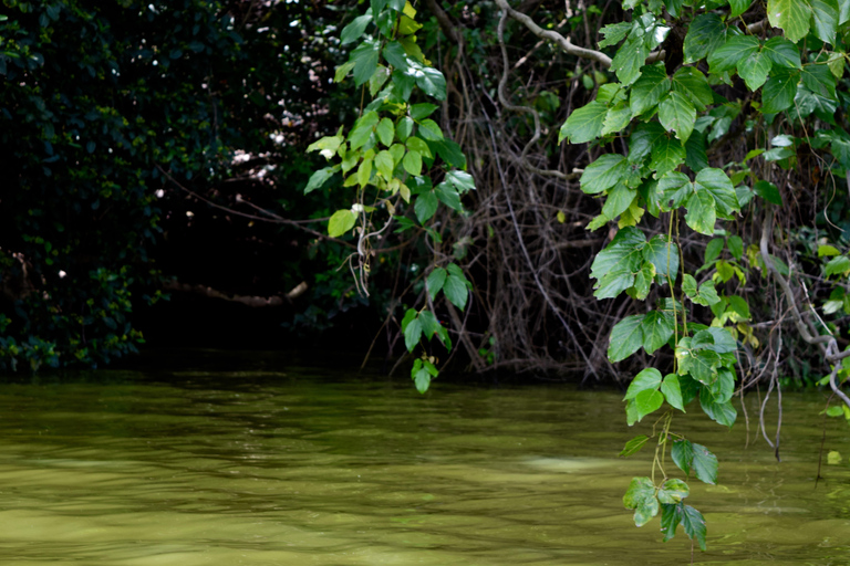 Duluti-See: Kanufahren, Naturwanderung und ExtraKajakfahren, Spaziergang in der Natur und Töpferkurs