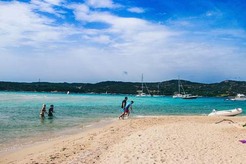 Santa Teresa: Speedboottocht rond Lavezzi en Piana-eiland