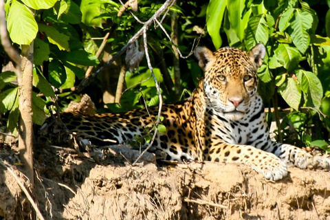 Parque Nacional del Manu 4 Días