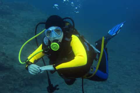 La Palma: PADI DSD Diving Experience