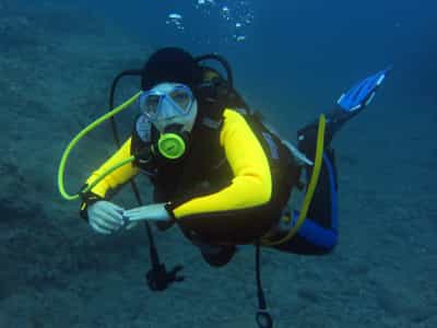 la palma aventura de submarinismo padi dsd