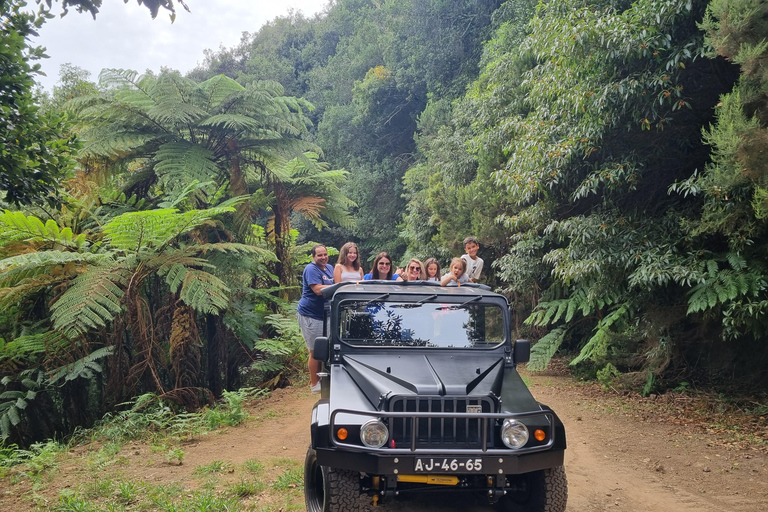 Madeira: SkyWalk, Fanal, naturliga pooler 4x4 Jeeptur