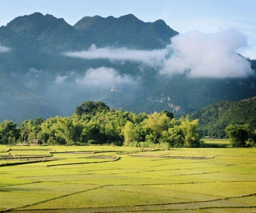 From Hanoi: Mai Chau Valley Day Trip with Lunch