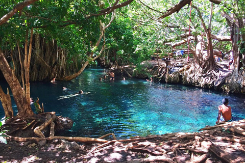 Excursión de un día asequible a las Termas de Chemka desde Moshi