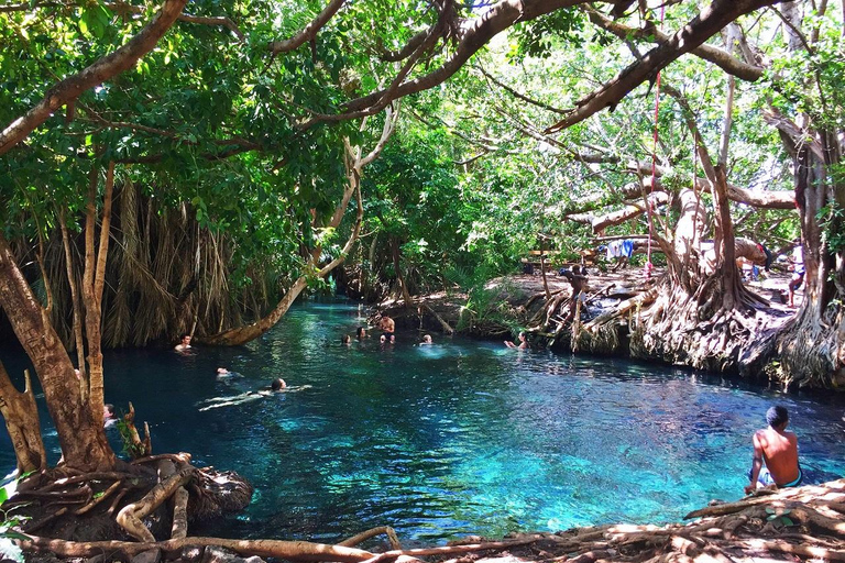 Erschwingliche Tagestour zu den Chemka Hot Springs ab Moshi