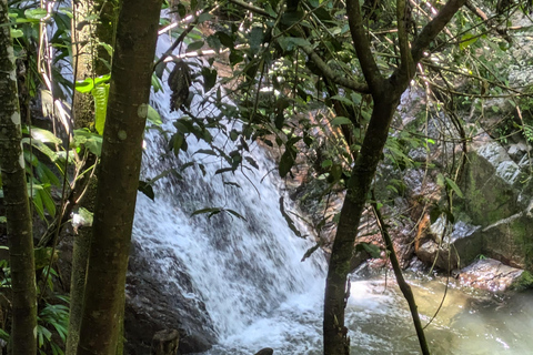 Minca, cachoeira escondida e oficina de cacau + oficina de café