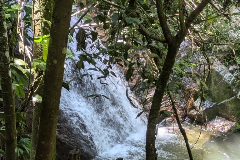 Minca, cachoeira escondida e oficina de cacau + oficina de café