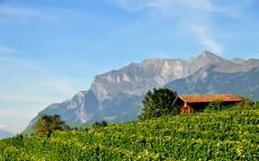 Graubünden and Heidiland: Half-Day Wine Tour