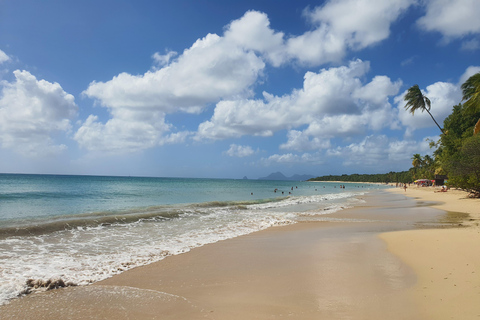 Beach tour and visit to a rum distillery in Le Marin