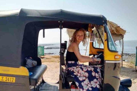 Jaipur: Private Forts, Palaces & Stepwell Tour with Guide Tour by Tuk-Tuks. Guide not included.