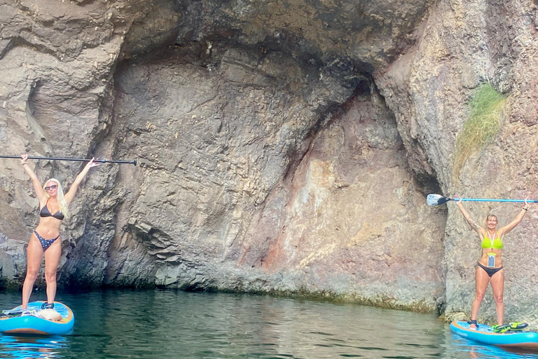 Plage de Willow : Location de paddle board