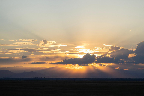Safari dans le Rocky Mountain ArsenalSafari dans l&#039;Arsenal des Rocheuses